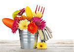 Colorful flowers and garden tools on wooden table. Isolated on white background