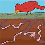 Happy red bird pecking ground with tunnelling earthworms