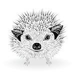 hedgehog head vector animal illustration for t-shirt. Sketch tattoo design.