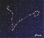 star constellation of pisces on dark sky, vector