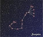 star constellation of scorpius on dark sky, vector