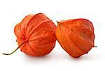Two flowers of physalis isolated on a white background