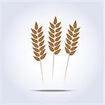 Wheat icon on white background. Vector illustration