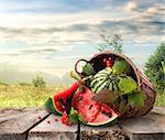 Watermelon in a basket and beutiful landscape