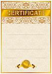 Elegant template of certificate, diploma with lace ornament, ribbon, place for text. Vector illustration EPS 8