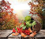Viburnum in a basket on table in autumn mountains