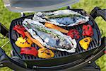Fresh dorado fish and bell pepper grill cooking outdoors