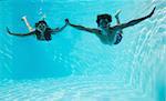 Young couple in swimming pool together wearing snorkels