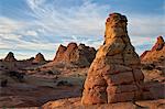 Sandstone cones at first light, Coyote Buttes Wilderness, Vermilion Cliffs National Monument, Arizona, United States of America, North America