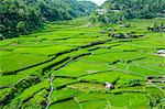 Hapao rice terraces, Banaue, UNESCO World Heritage Site, Luzon, Philippines, Southeast Asia, Asia