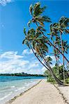 Palm fringed white sand beach on an islet of Vavau, Vavau Islands, Tonga, South Pacific, Pacific