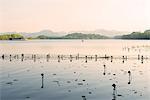 West Lake at dusk, Hangzhou, Zhejiang, China, Asia