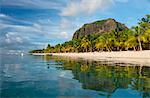 Late afternoon reflections of Le Morne Brabant and palm trees in the sea, Le Morne Brabant Peninsula, south west Mauritius, Indian Ocean, Africa