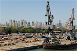 Main docks with the high-rises of the city centre beyond, Mumbai, India, Asia