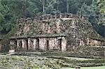 Mexico, Chiapas, Yaxchilan, Mayan Archaeological Site, Structure 19