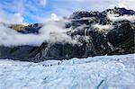 Tourist hiking on Fox Glacier, Westland Tai Poutini National Park, South Island, New Zealand, Pacific