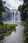 Whangarai Falls, North Island, New Zealand, Pacific