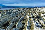 Beautiful limestone formations on the Kaikoura Peninsula, South Island, New Zealand, Pacific