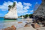 Giant rock on the sandy beach of Cathedral Cove, Coromandel, North Island, New Zealand, Pacific