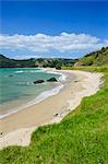 Lonely beach on the coastline of Northern Coromandel, North Island, New Zealand, Pacific