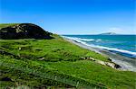 Te Waewae Bay, along the road from Invercargill to Te Anau, South Island, New Zealand, Pacific