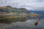 Reflection in Lake Wanaka, Wanaka, Otago, South Island, New Zealand, Pacific