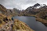 Lake Harris, Routeburn Track, Mount Aspiring National Park, South Island, New Zealand, Pacific