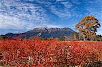 Nagano Prefecture, Japan