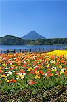 Kagoshima Prefecture, Japan