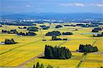 Iwate Prefecture, Japan