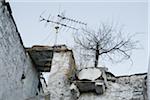 Low angle view of old tv antenna and simular dead tree on rooftop, Greece