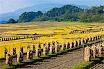 Yamagata Prefecture, Japan