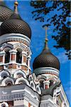 Close-up of the Russian Orthodox, Alexander Nevsky Cathedral, Tallinn, Estonia
