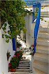 View of alley and stairs with grape vines and geranium pots in mountain village, Naxos, Greece