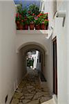 View of passage way and alley with flowerpots in mountain village, Naxos, Cyclades Islands, Greece