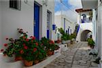 Street scene with houses with blue doors and geranium pots in front, in mountain village, Greece