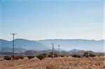 Utility Poles along Mountain and Desert with Dry Bushes, Al Kamil, Oman