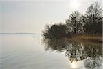 Morning scene at Lake Schwerin, Schweriner Innensee, Schwerin, Western Pomerania, Mecklenburg-Vorpommern, Germany