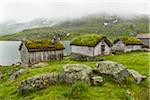 Wooden Houses with Sod Roofs along Gaularfjellet National Tourist Route between Balestrand and Moskog, Sogn og Fjordane, Norway