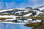 Skjelingavatnet near Vik, Sogn og Fjordane, Norway