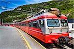 Bergen bound Train on Bergen Line, Myrdal Station, Myrdal, Aurland, Sogn og Fjordane, Norway