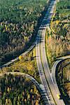 Aerial view of road going through forest