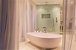 Bathtub and shower in modern bathroom