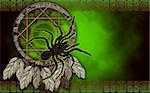 Native American dream catcher with spider on green background