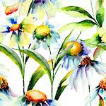 Seamless wallpaper with Chamomile flowers, watercolor illustration