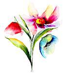 Original Summer flowers, watercolor illustration