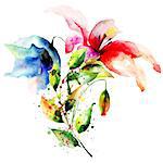 Decorative summer flowers, watercolor illustration