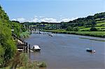 Calstock railway viaduct over the River Tamar, Cornwall, England, United Kingdom, Europe