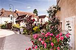 The village of Chedigny, Indre-et-Loire, Centre, France, Europe