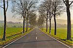 Country road in the morning, Echte, Kalefeld, Harz, Lower Saxony, Germany
